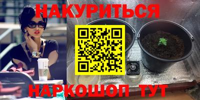 прущие грибы Мариинск